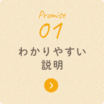 Promise 01 わかりやすい説明